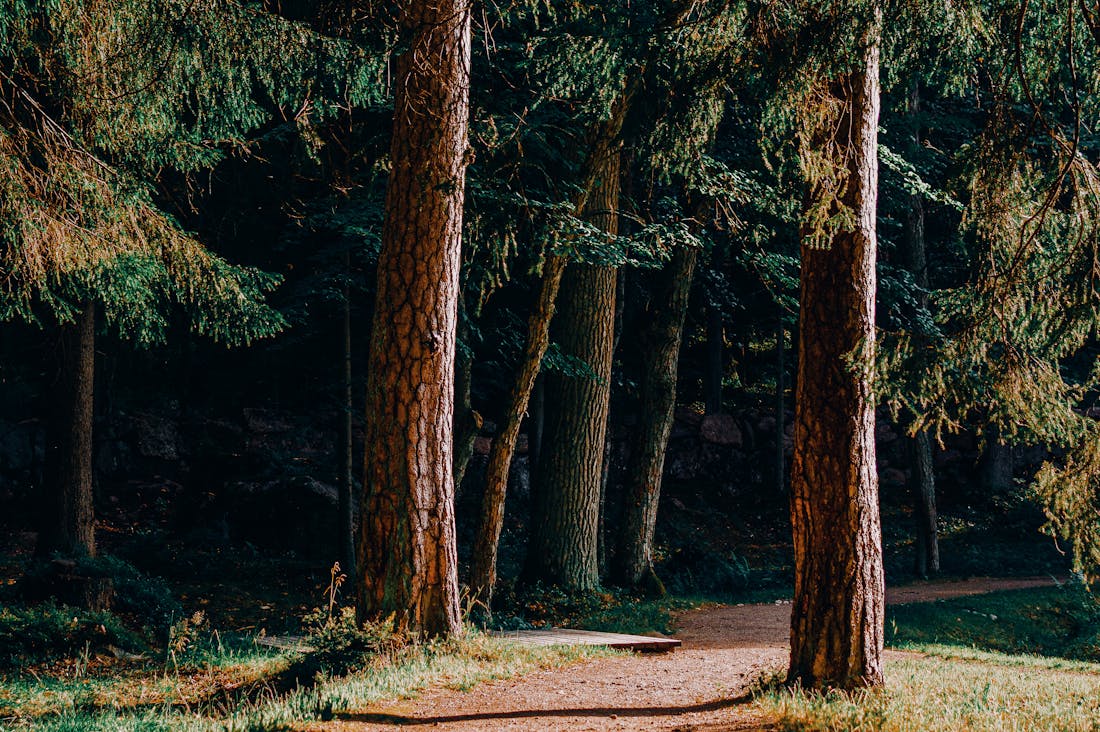 The Transformation of Travel: How Sustainability is Redefining Our Adventures Image 1