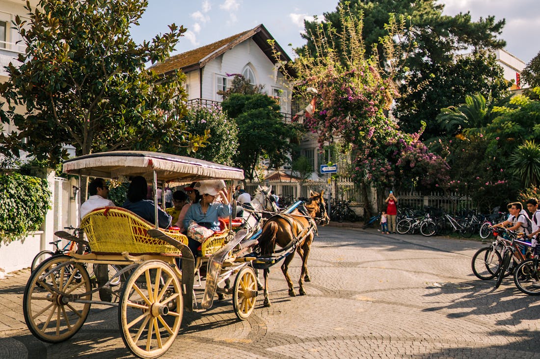 The Transformation of Travel: How Sustainability is Redefining Our Adventures Image 2