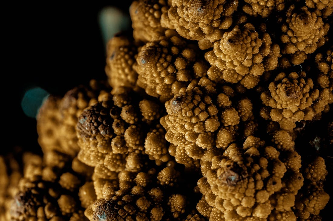 The Transformative Power of Healthy Eating: How Nutrition Impacts Daily Life Image 1