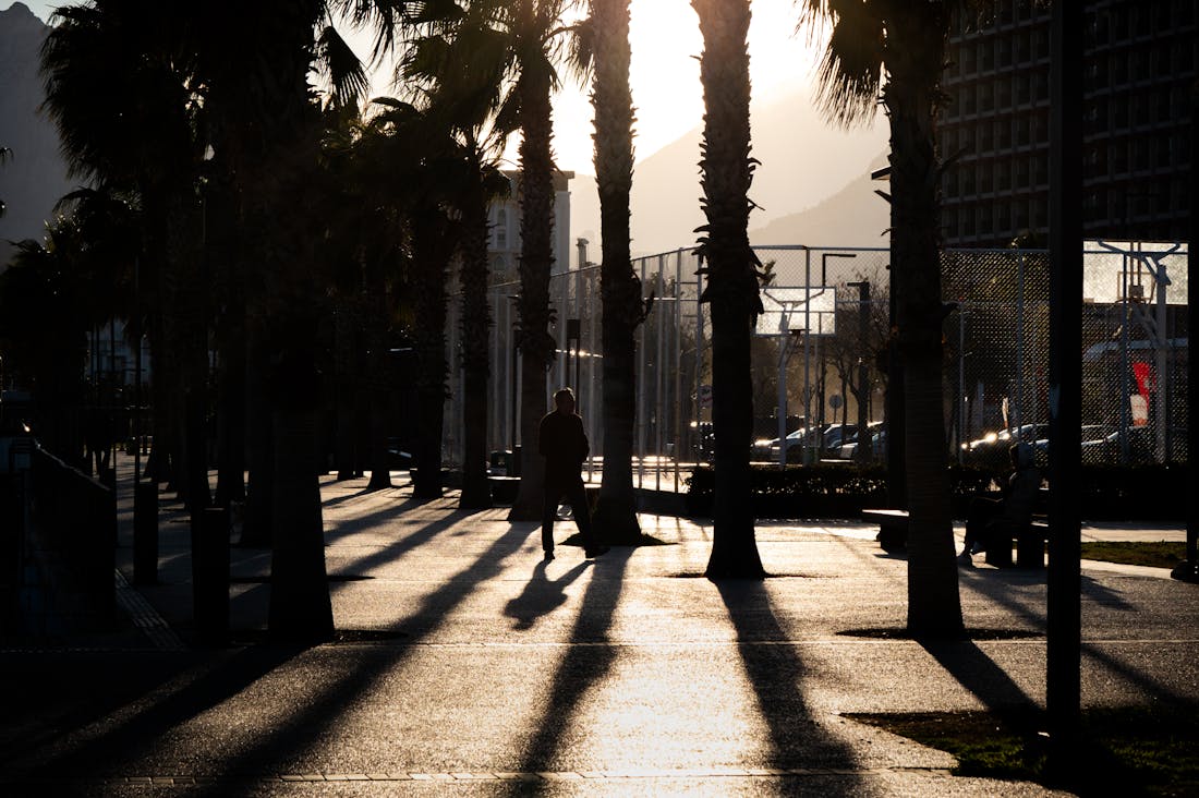 The Ultimate Guide to Eco-Friendly Travel: Sustainable Practices for Conscious Explorers Image 3