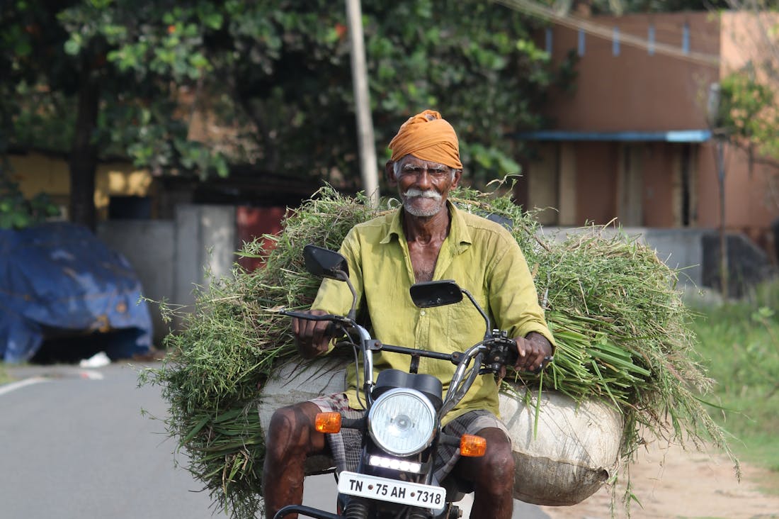 The Ultimate Guide to Sustainable Travel: Eco-Friendly Tips for the Conscious Traveler Image 3