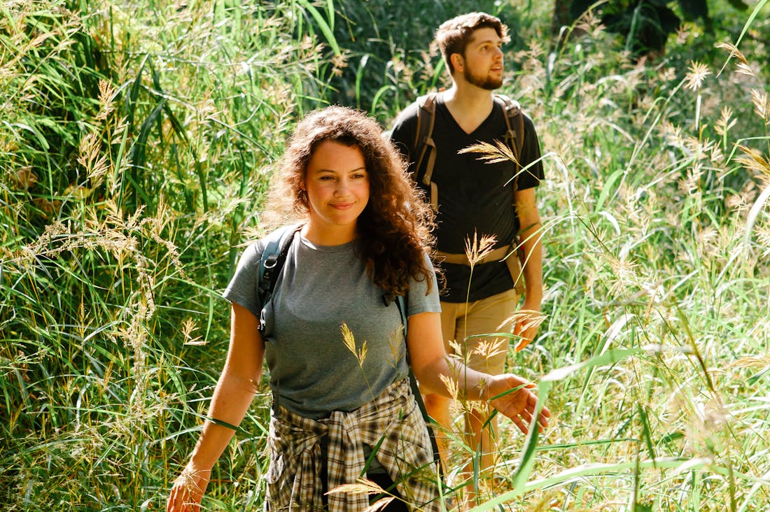 The Ultimate Road Trip Checklist for Safe and Stress-Free Travel Image 3