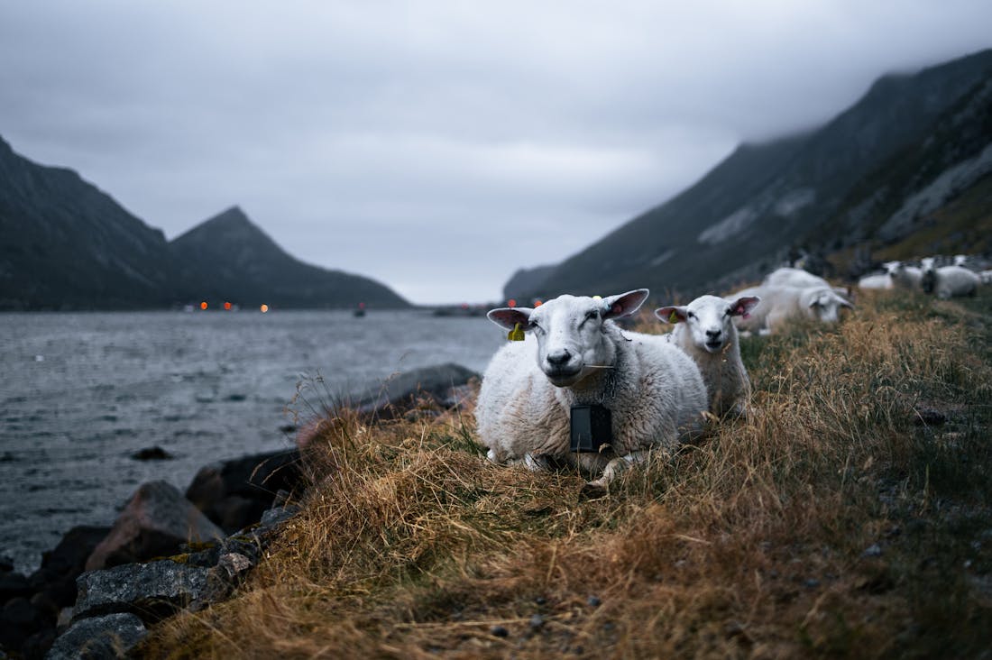 The Wanderlust Dream: How Sustainable Travel Transforms Your Perspective Image 1