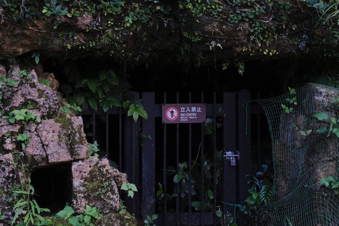 Thrilling Destinations for Unforgettable Travel Experiences Image 1