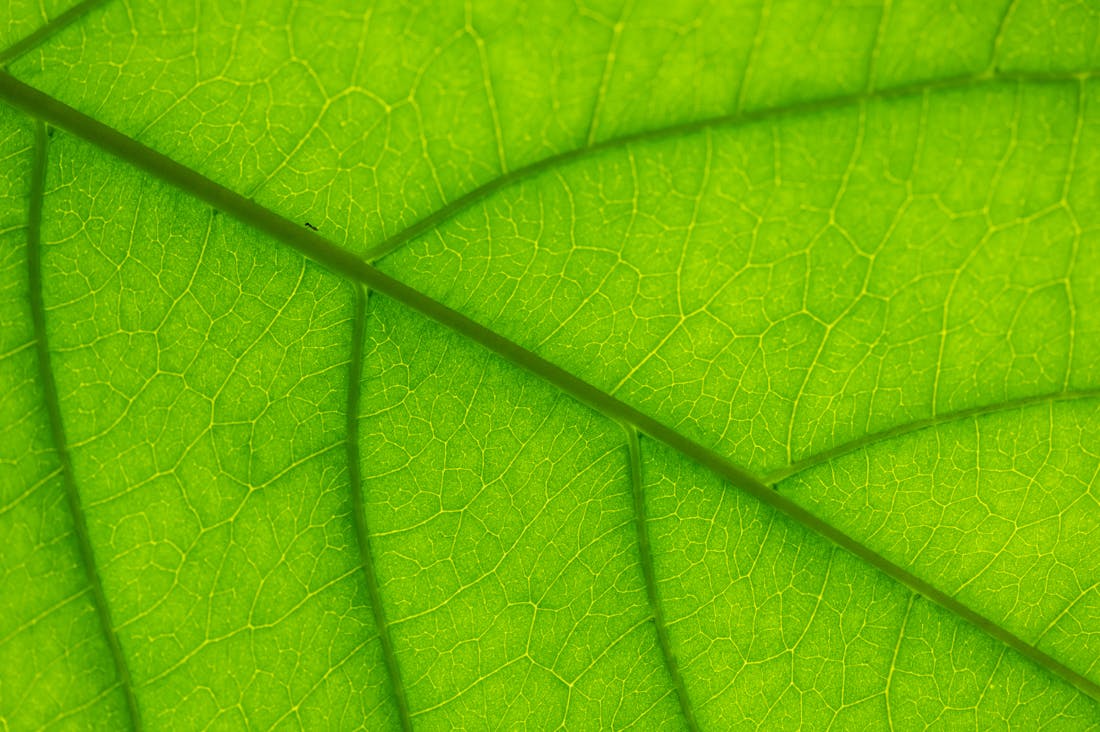 Tips for a Healthier Lifestyle: Simple Changes for Big Results Image 3