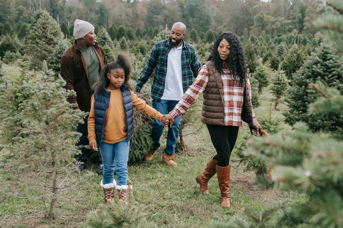 Tips for Choosing the Right Car for Different Lifestyles Image 2