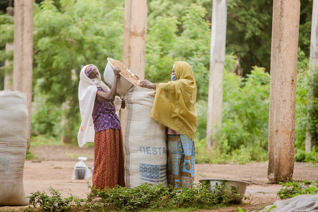 Tips for Maintaining a Sustainable Lifestyle on a Budget Image 3