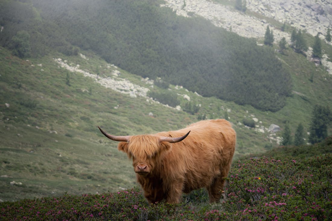 Tips for Sustainable Travel: Making Eco-Friendly Choices Image 3