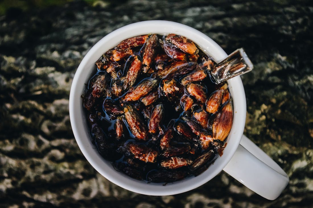 Top 5 Health Trends Revolutionizing Wellness in 2023 Image 1