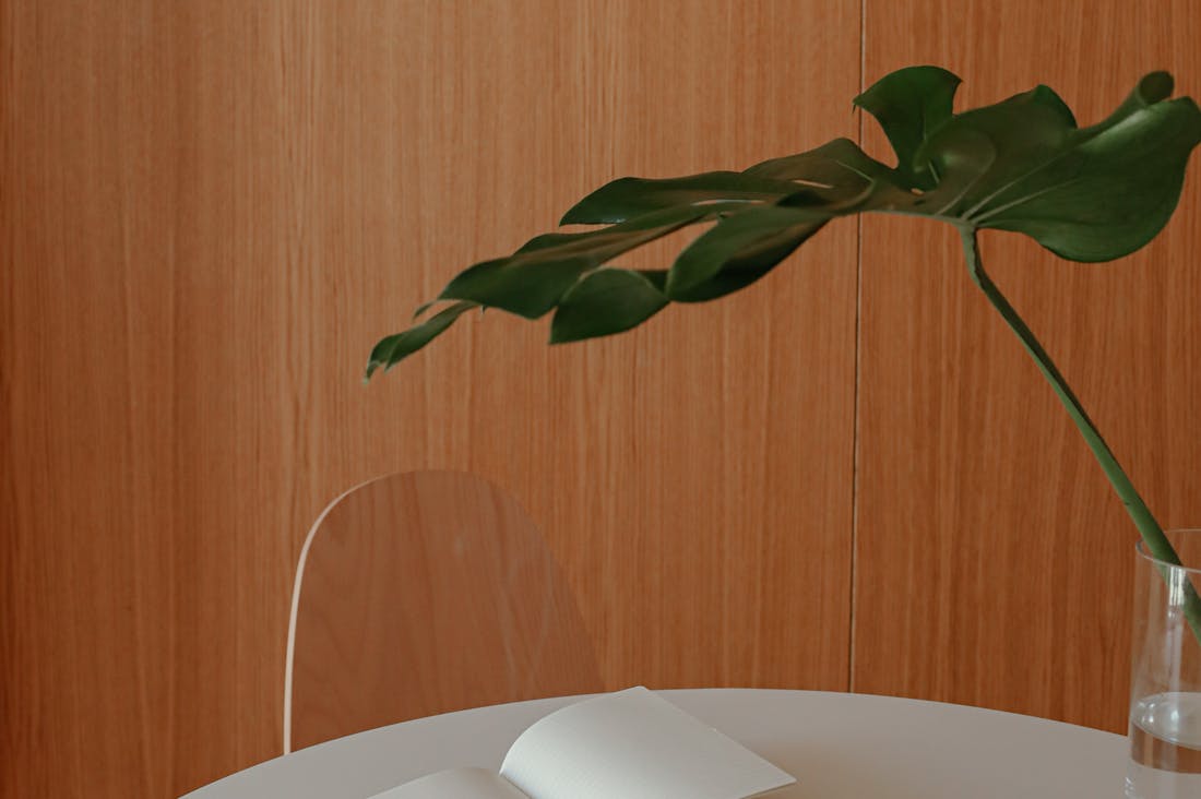 Transform Home Environment for Better Mental Well-Being Image 1