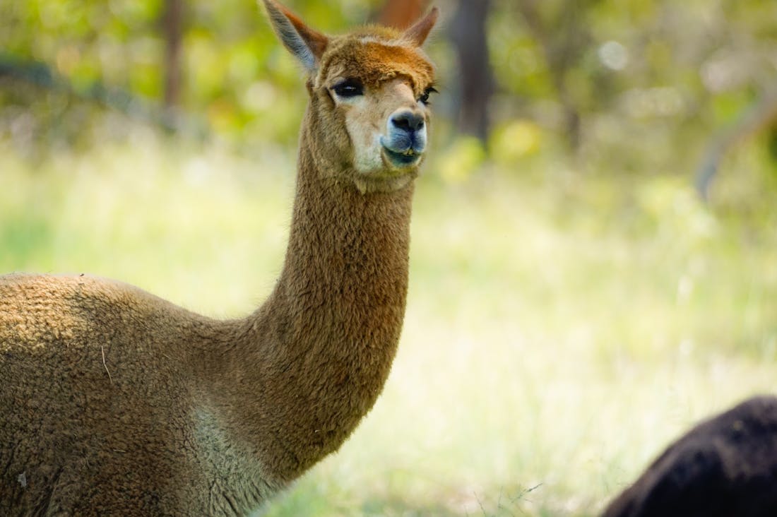 Transform Your Daily Routine with Simple Health Hacks for Better Wellbeing Image 3