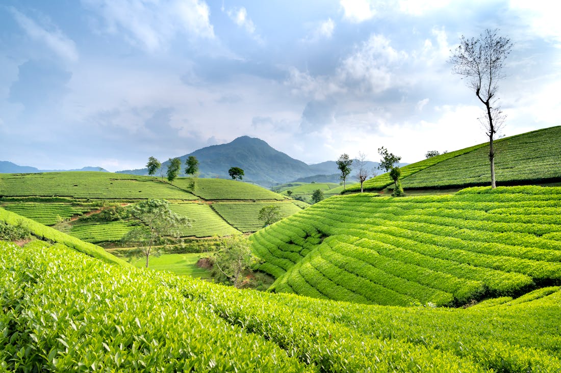 Transformational Trends Shaping Future Travel Experiences Image 2