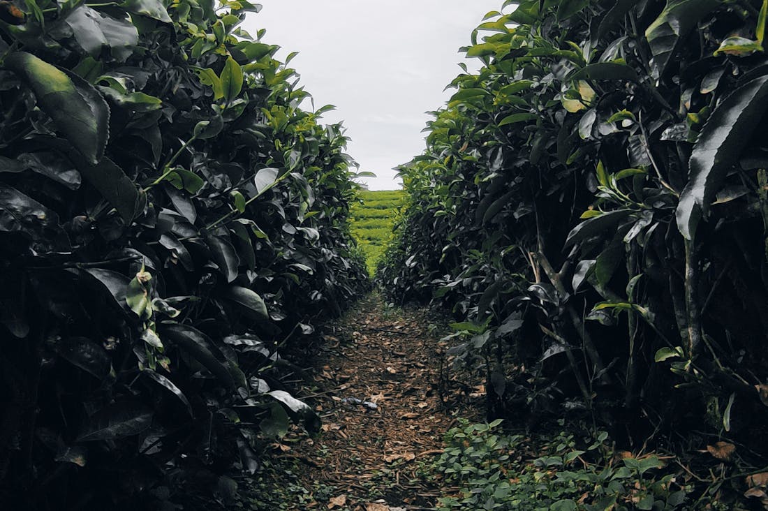 Transformative Travel Experiences That Foster Personal Growth and Connection Image 2