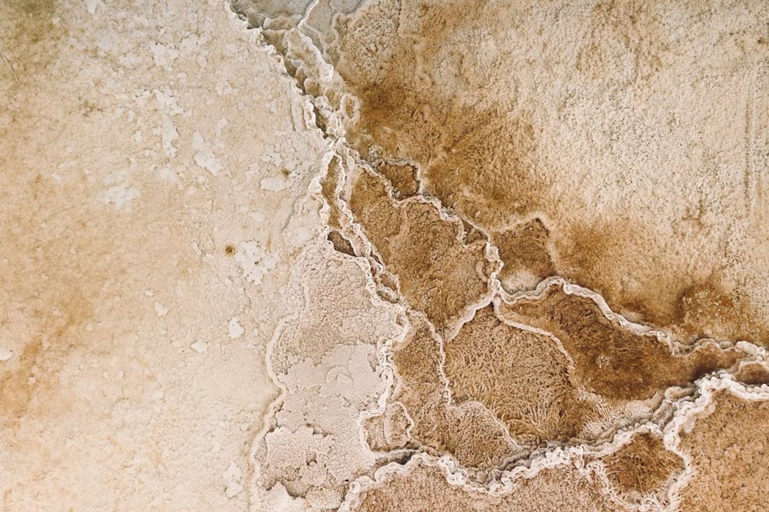 Transforming Daily Routines into Habits for Enhanced Wellbeing Image 2