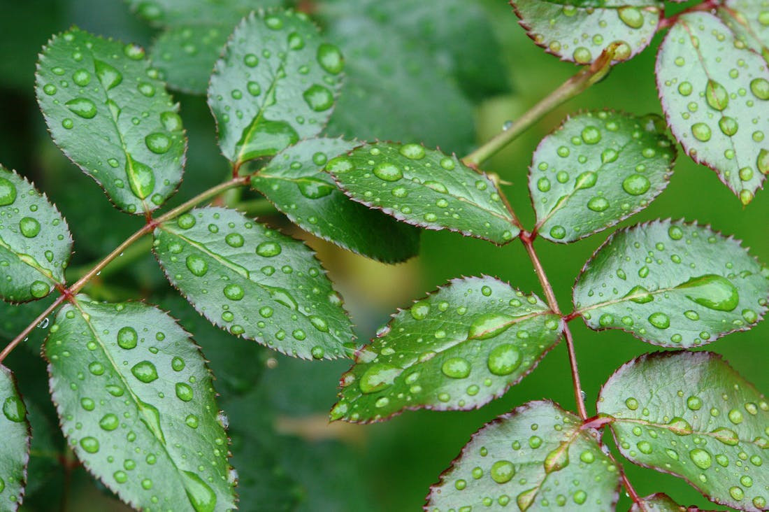 Transforming Daily Routines into Healthier Habits for Ultimate Well-Being Image 3