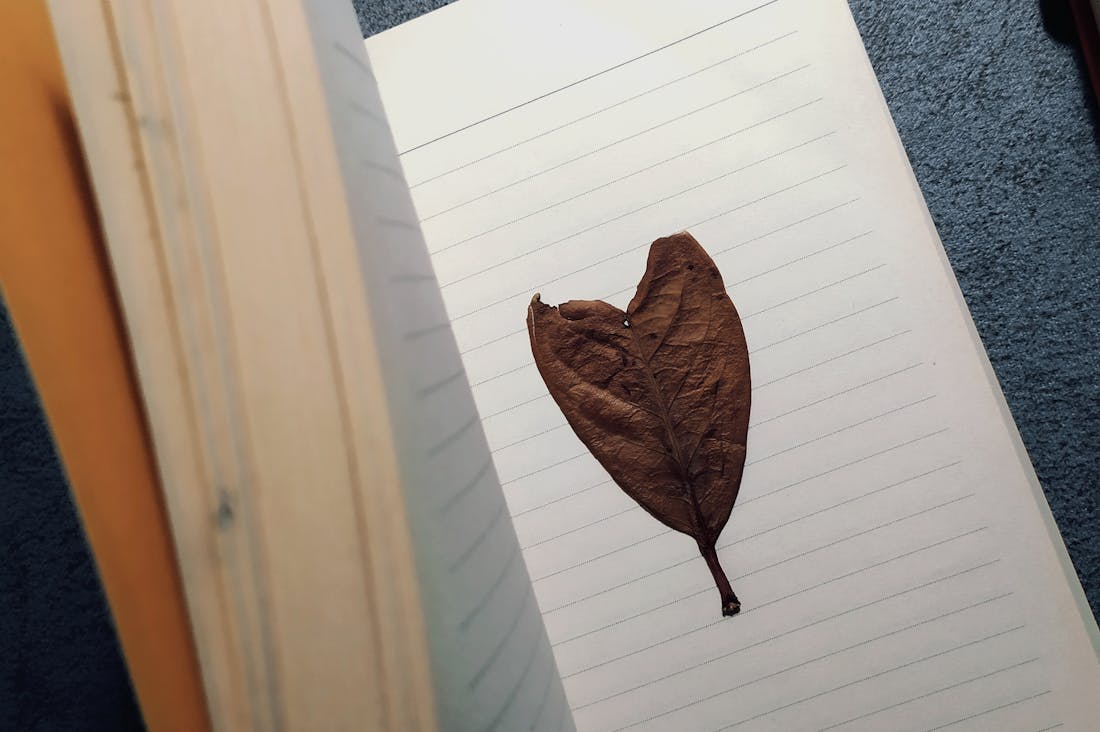 Transforming Daily Routines with Simple Health Hacks for a Vibrant Life Image 2