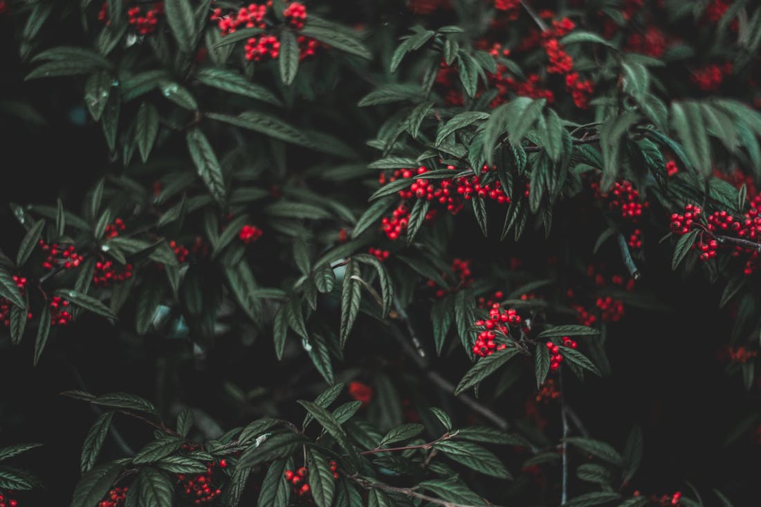 Transforming Spaces with Simple Lifestyle Updates