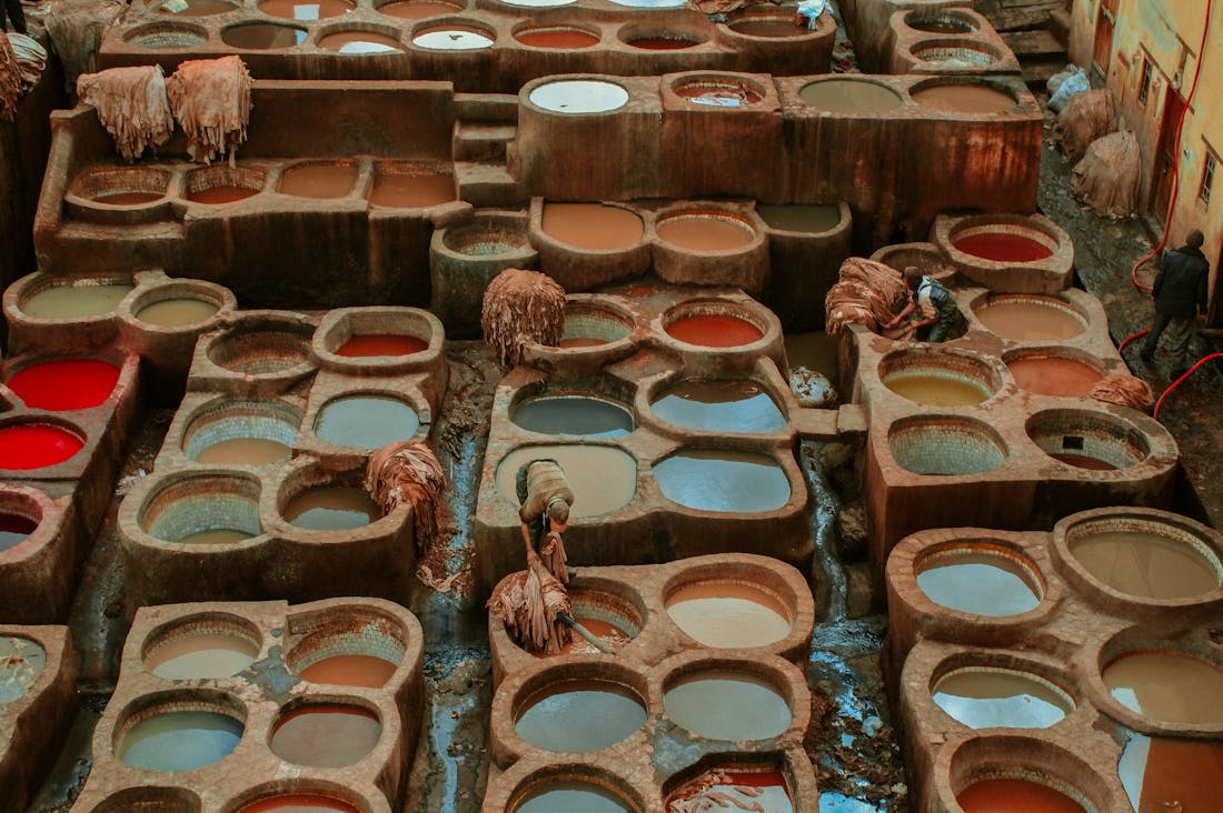 Transforming Travel Experiences with Sustainable Practices and Eco-Tourism Image 3