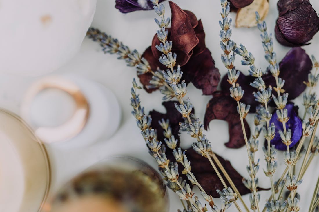 Transforming Your Health: Holistic Strategies to Enhance Well-Being and Vitality Image 1