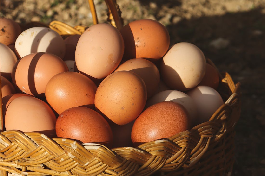 Transforming Your Health: Strategies for a Balanced Life Through Nutrition, Exercise, and Mindfulness Image 1