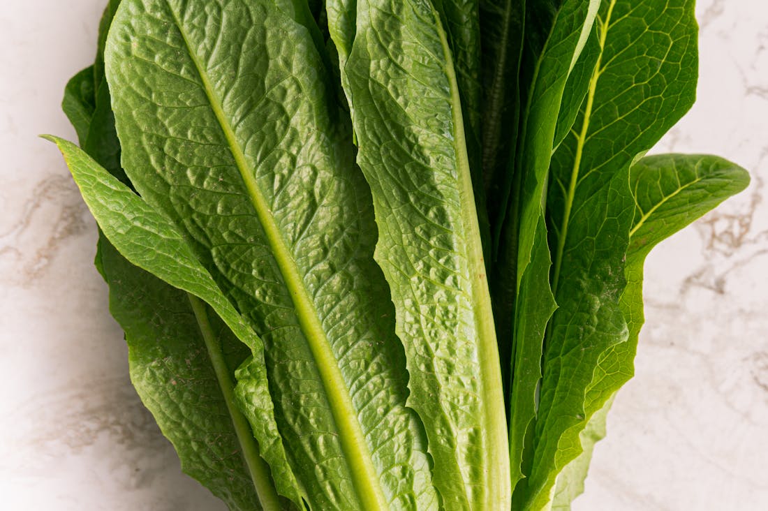 Transforming Your Health Through Nutrition: The Power of Whole Foods and Mindful Eating