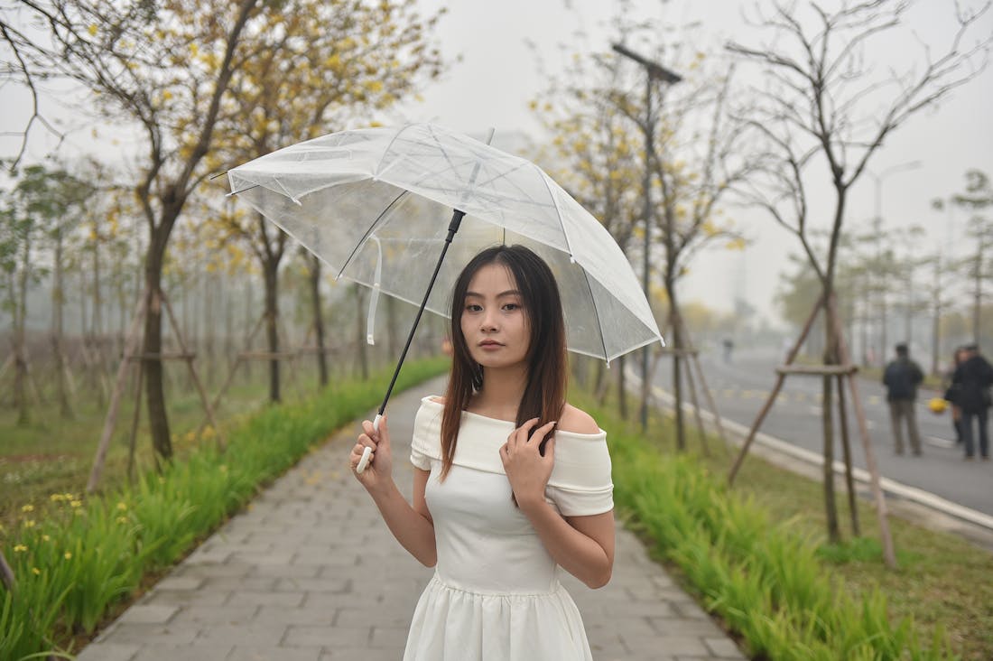 Transforming Your Home: Innovative Ideas for a Healthier Living Space Image 2