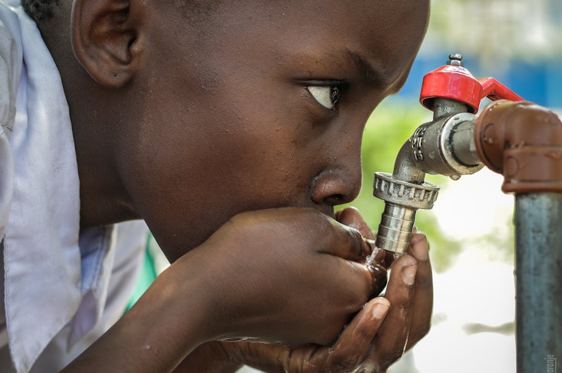 Transitioning to Sustainable Living Habits for a Greener Future Image 2