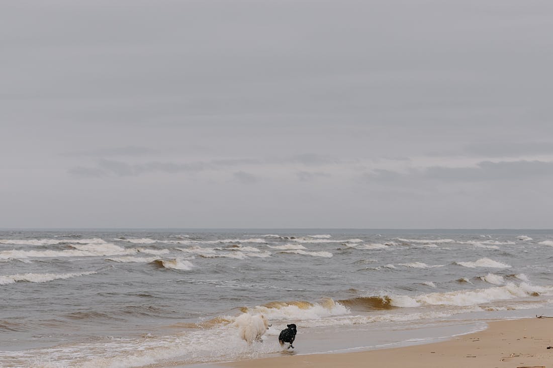 Travel and Mindfulness: Cultivating Presence and Connection in Your Journeys Image 1