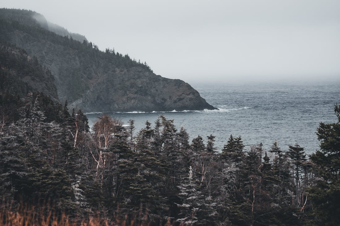 Travel and Mindfulness: Cultivating Presence and Connection in Your Journeys Image 2