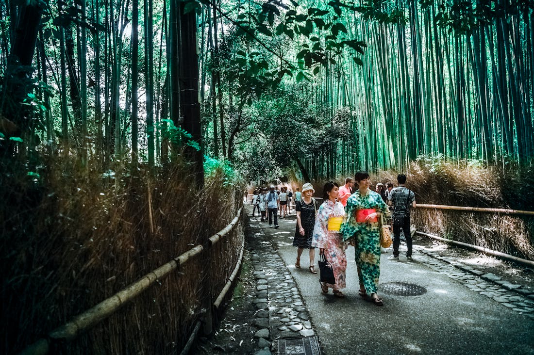 Travel Deeper: Unveiling Hidden Gems and Local Cultures Beyond Tourist Attractions Image 1