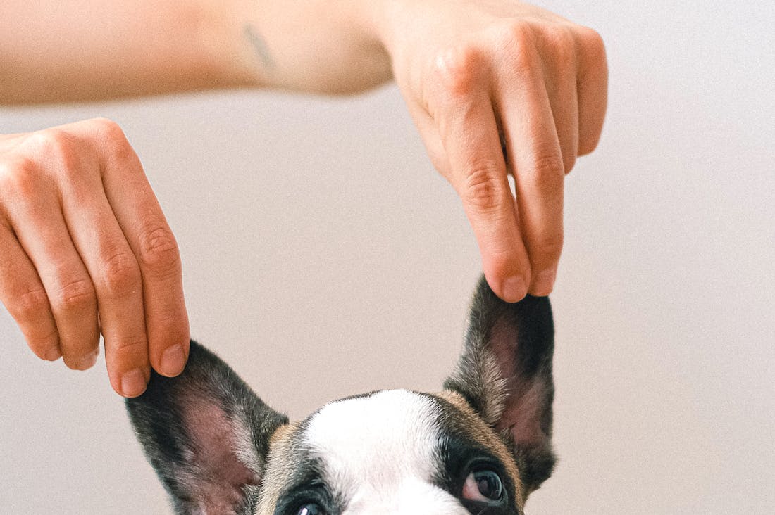 Travel Hacks for Budget-Friendly Adventures and Unforgettable Memories Image 3