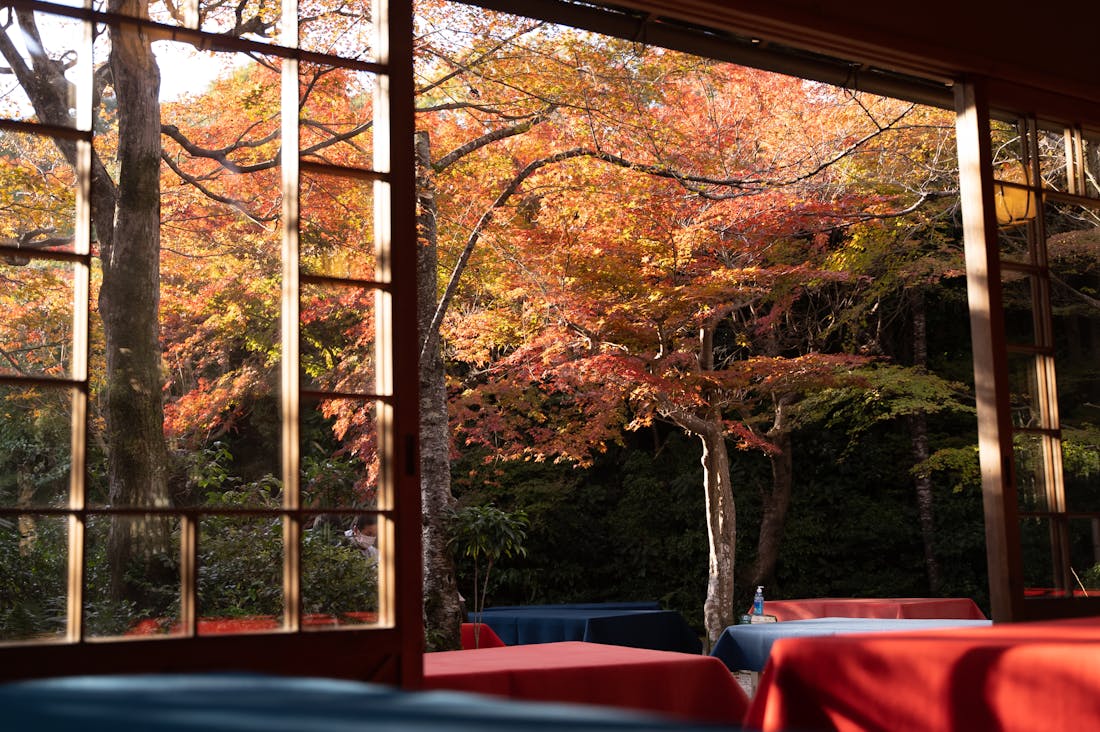 Travel Trends Post-Pandemic: Reimagining the Way We Explore Image 1