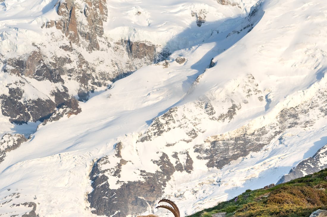 Travel Trends Revolutionizing Adventure and Leisure Experiences Image 3