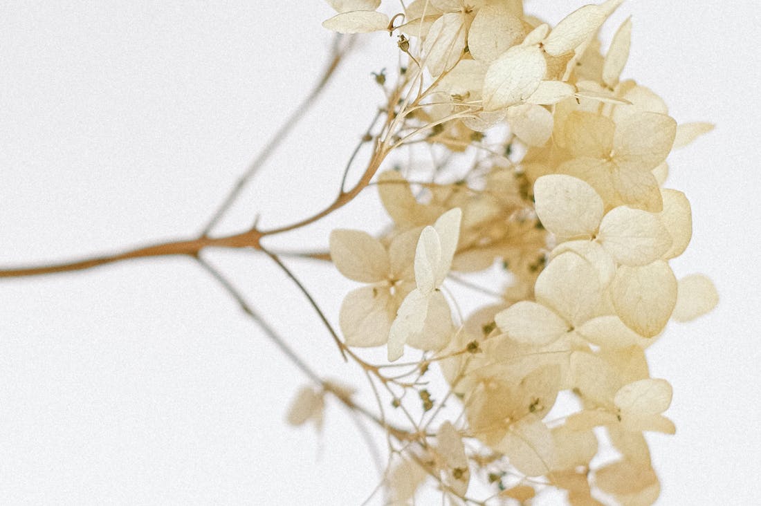 Traveling Beyond Boundaries: How Cultural Experiences Shape Our Understanding of the World Image 2