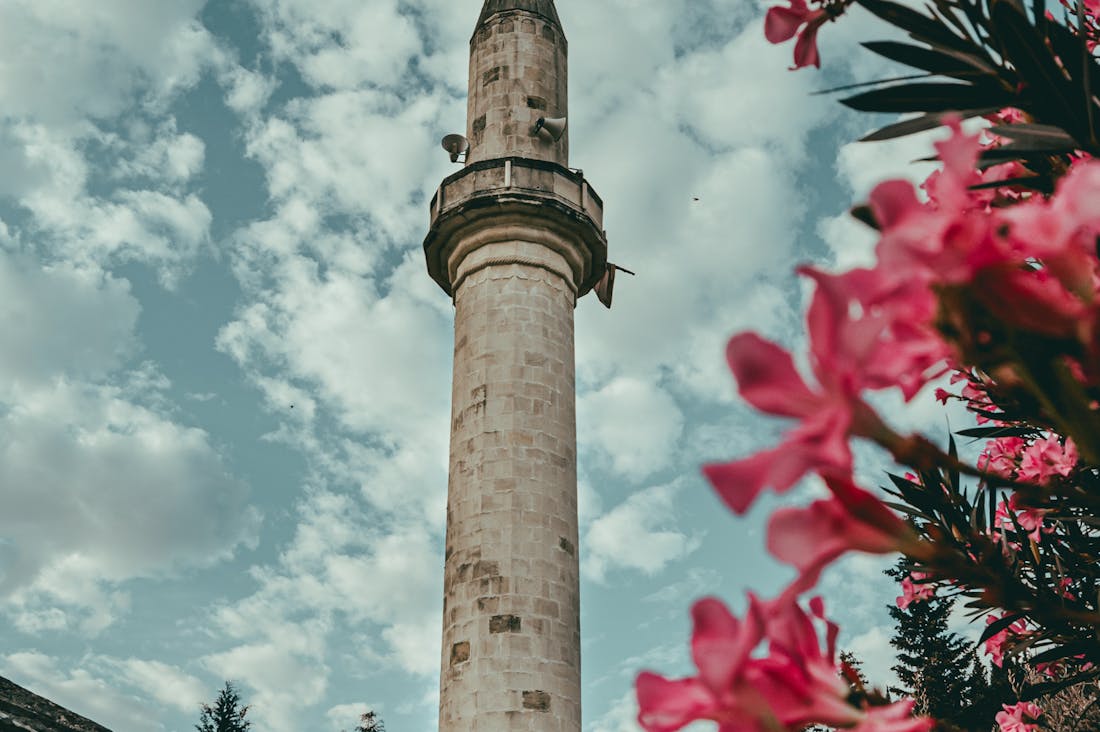 Traveling Efficiently: Tips for Stress-Free Adventures Image 2