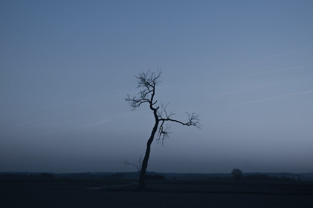 Traveling Mindfully: Cultivating Presence and Intention in Your Journeys Image 2