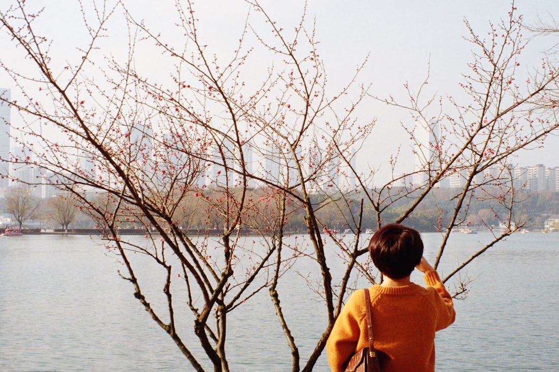 Traveling Mindfully: Embracing the Journey Beyond the Destination Image 3