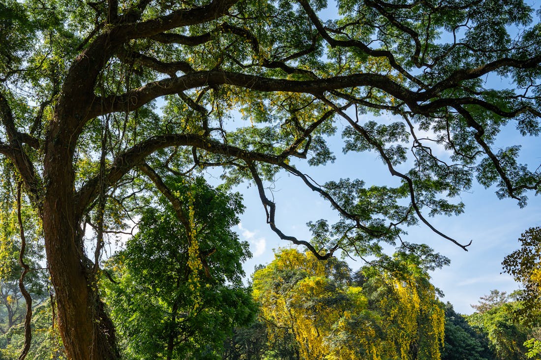 Traveling on a Budget: Discovering Hidden Gems Without Breaking the Bank Image 2