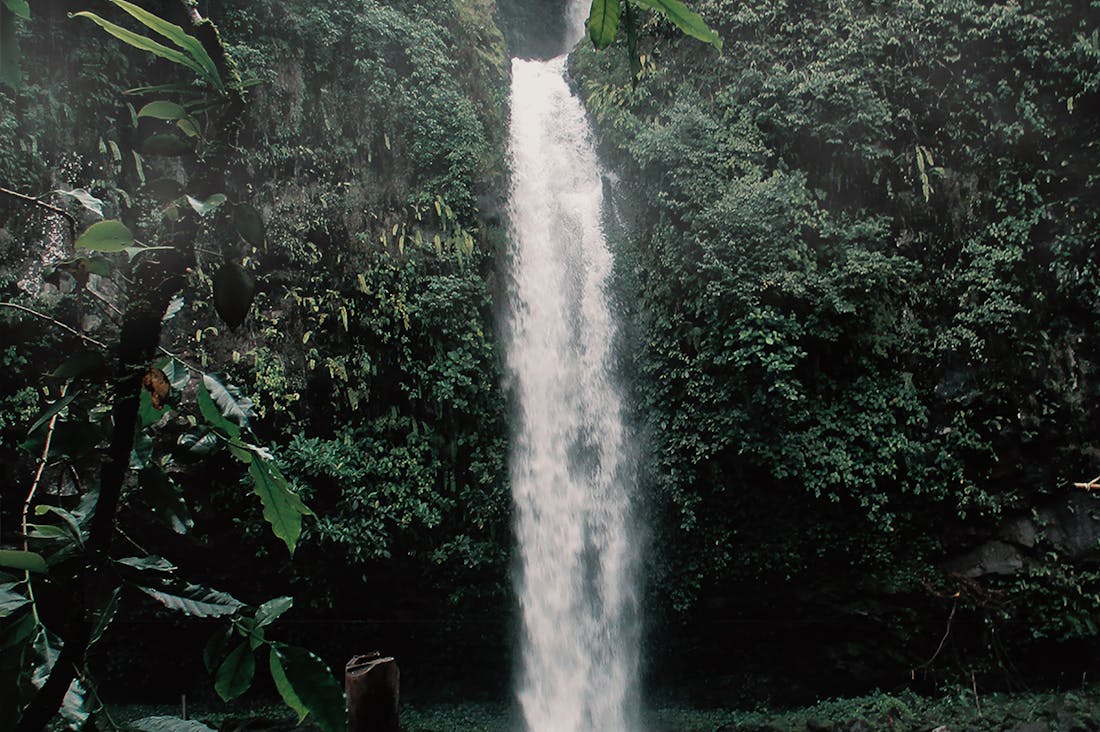 Traveling Responsibly: A Comprehensive Look at Eco-Friendly Practices and Financial Planning Image 2