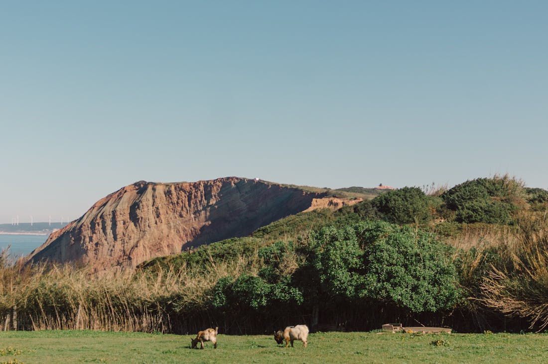 Traveling Responsibly: How to Embrace Sustainable Tourism Without Sacrificing Adventure and Exploration Image 3