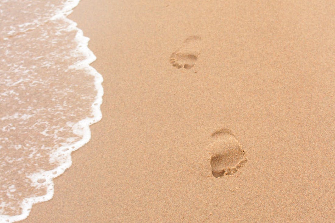 Traveling Responsibly: Tips for Eco-Conscious Adventurers Image 3