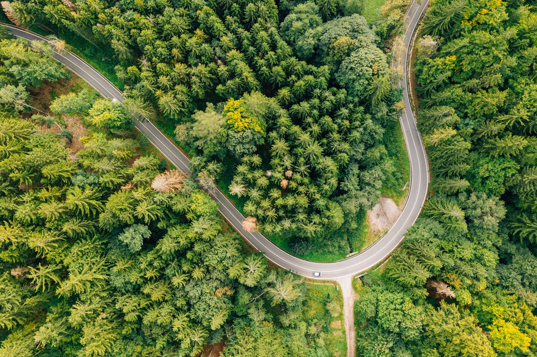Traveling Sustainably: Choosing Eco-Friendly Destinations and Practices Image 1