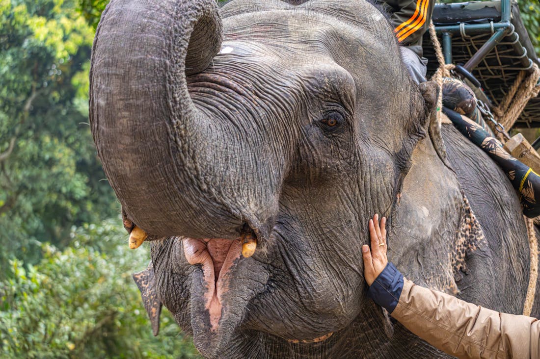 Traveling Sustainably: Enjoying Adventures While Protecting the Planet Image 3