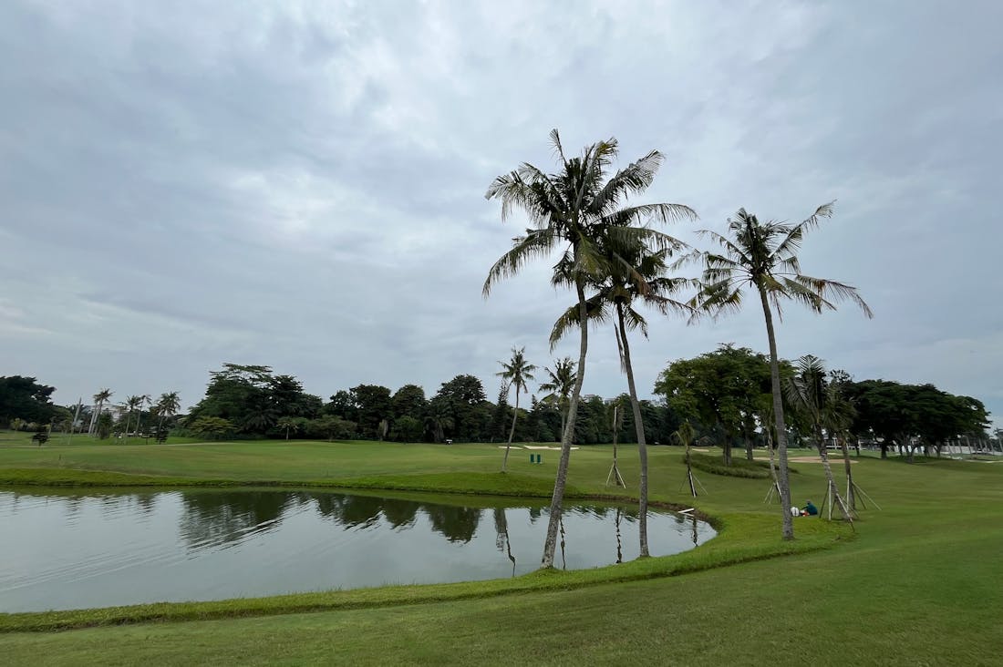 Traveling Sustainably: How to Explore the World While Respecting the Environment Image 2