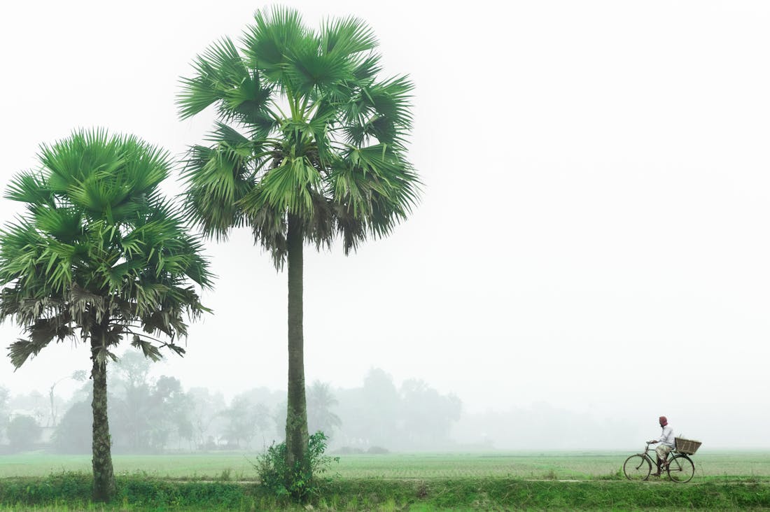 Traveling Sustainably: How to Plan Eco-Friendly Adventures that Benefit the Planet Image 1