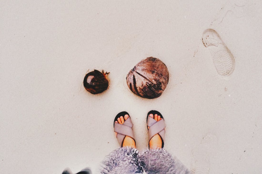 Traveling Sustainably: Making Eco-Conscious Choices on Your Next Adventure Image 2