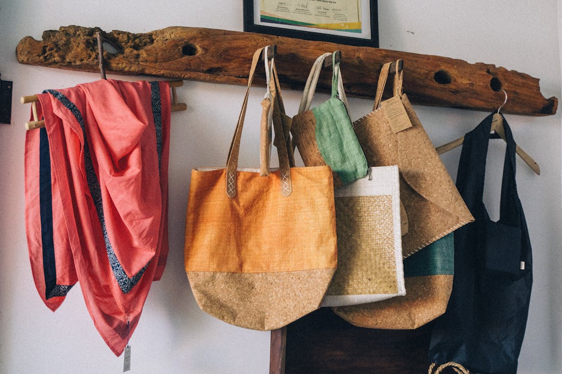 Traveling Sustainably: Making Eco-Conscious Choices on Your Next Trip Image 1