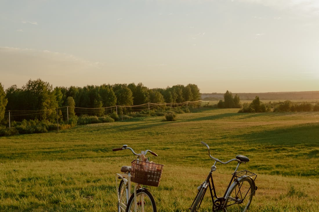 Traveling Sustainably: Making Eco-Friendly Choices on Trips