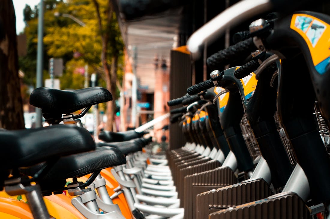 Traveling Sustainably: Making Eco-Friendly Choices on Your Next Trip Image 2