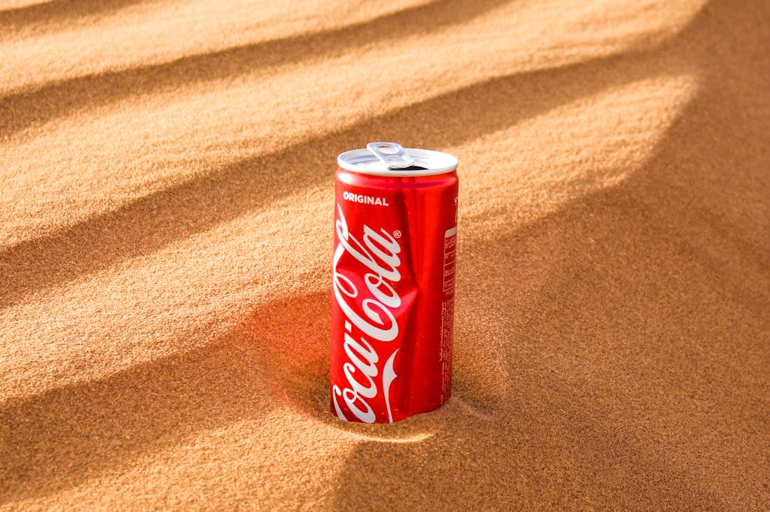 Traveling Sustainably: Tips for an Eco-Friendly Adventure Image 2